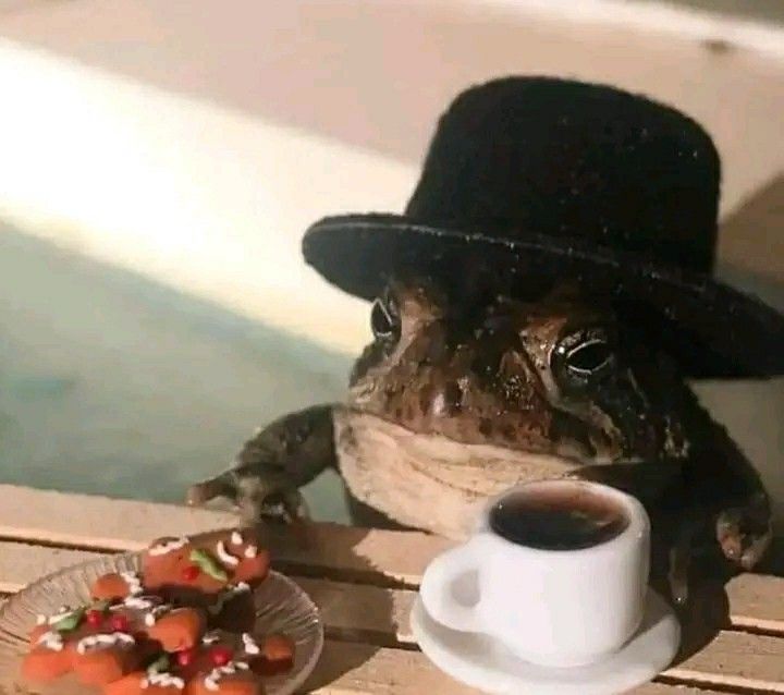 A froggo
